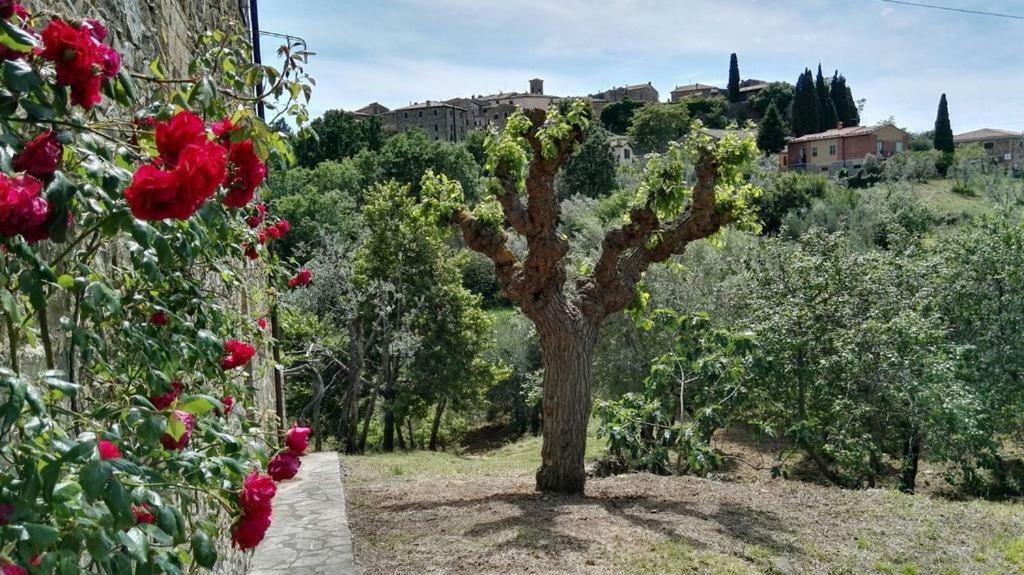 Colombaio In Colle Bed & Breakfast Sant'Angelo in Colle Exterior foto